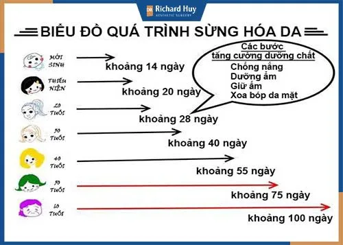 Các hình ảnh da bị lão hóa sớm Các hình ảnh da bị lão hóa sớm